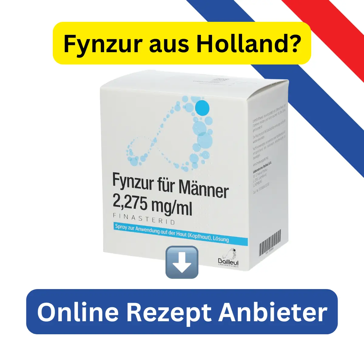 Fynzur aus Holland